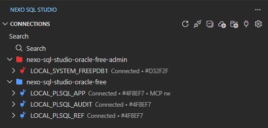 Connections explorer showing color-coded folders and grouped Oracle database connections.