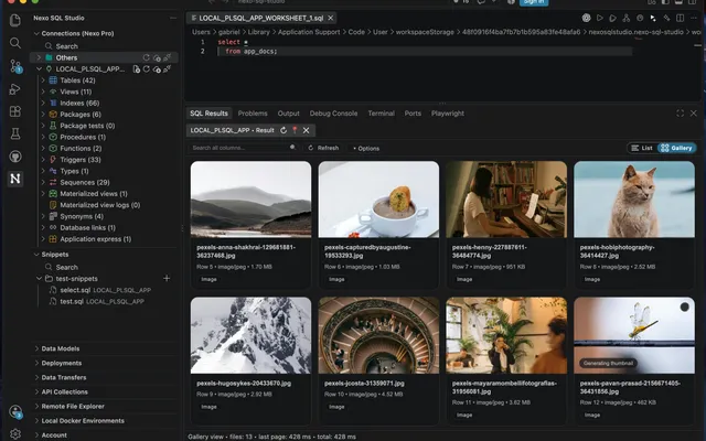 Nexo SQL Studio dans VS Code avec un worksheet Oracle et les résultats de la requête en mode galerie.