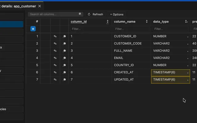 Oracle table detail panel showing columns, indexes, constraints, triggers, grants, and metadata.