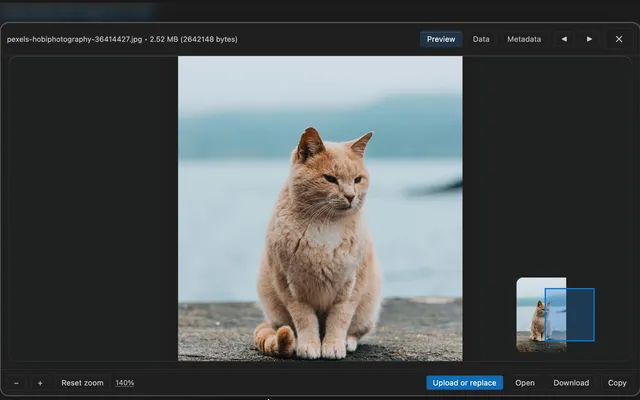 Worksheet image preview viewer showing zoom controls for inspecting a result image.