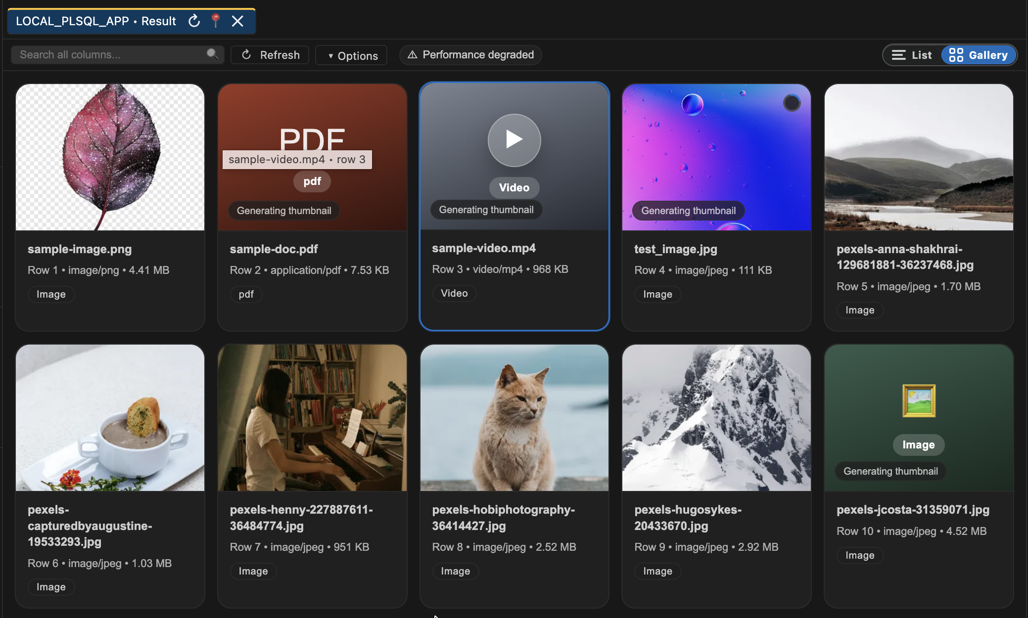 Worksheet BLOB gallery showing image and file previews generated from filename and MIME type metadata.